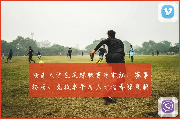 湖南大学生足球联赛高职组：赛事格局、竞技水平与人才培养深度解析