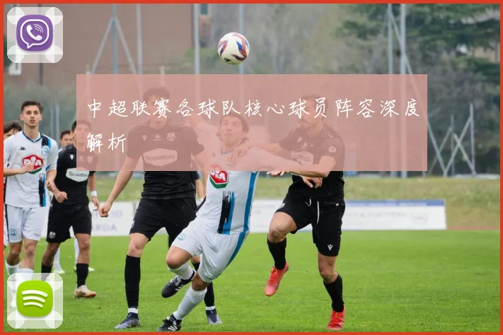 中超联赛各球队核心球员阵容深度解析